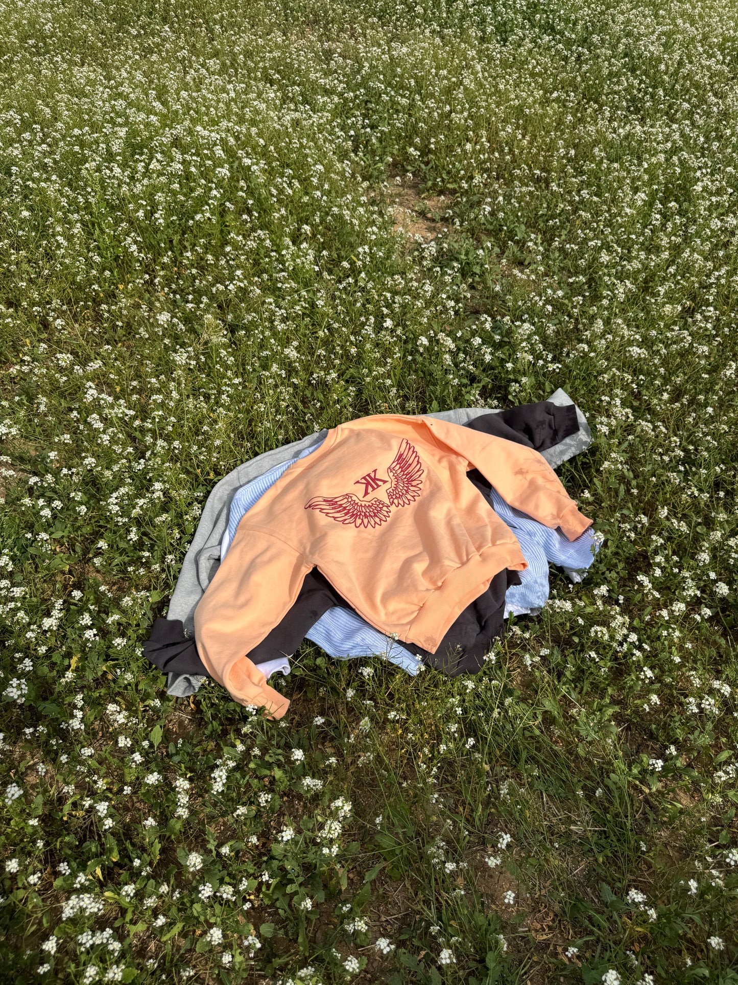 Wings Crewneck Peach Orange