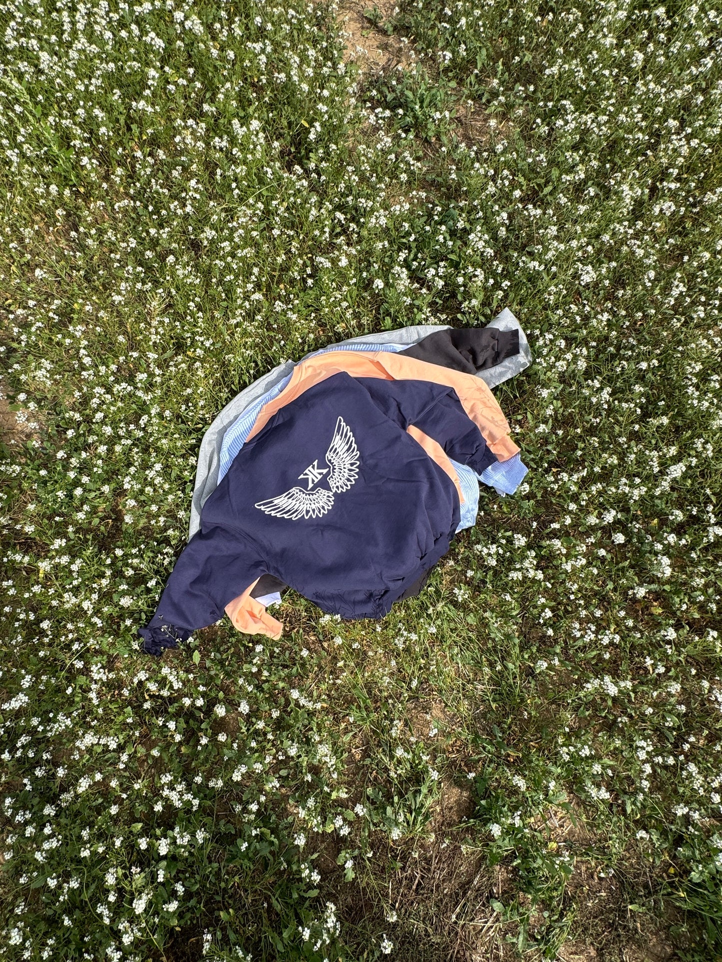 Wings Crewneck Navy Blue