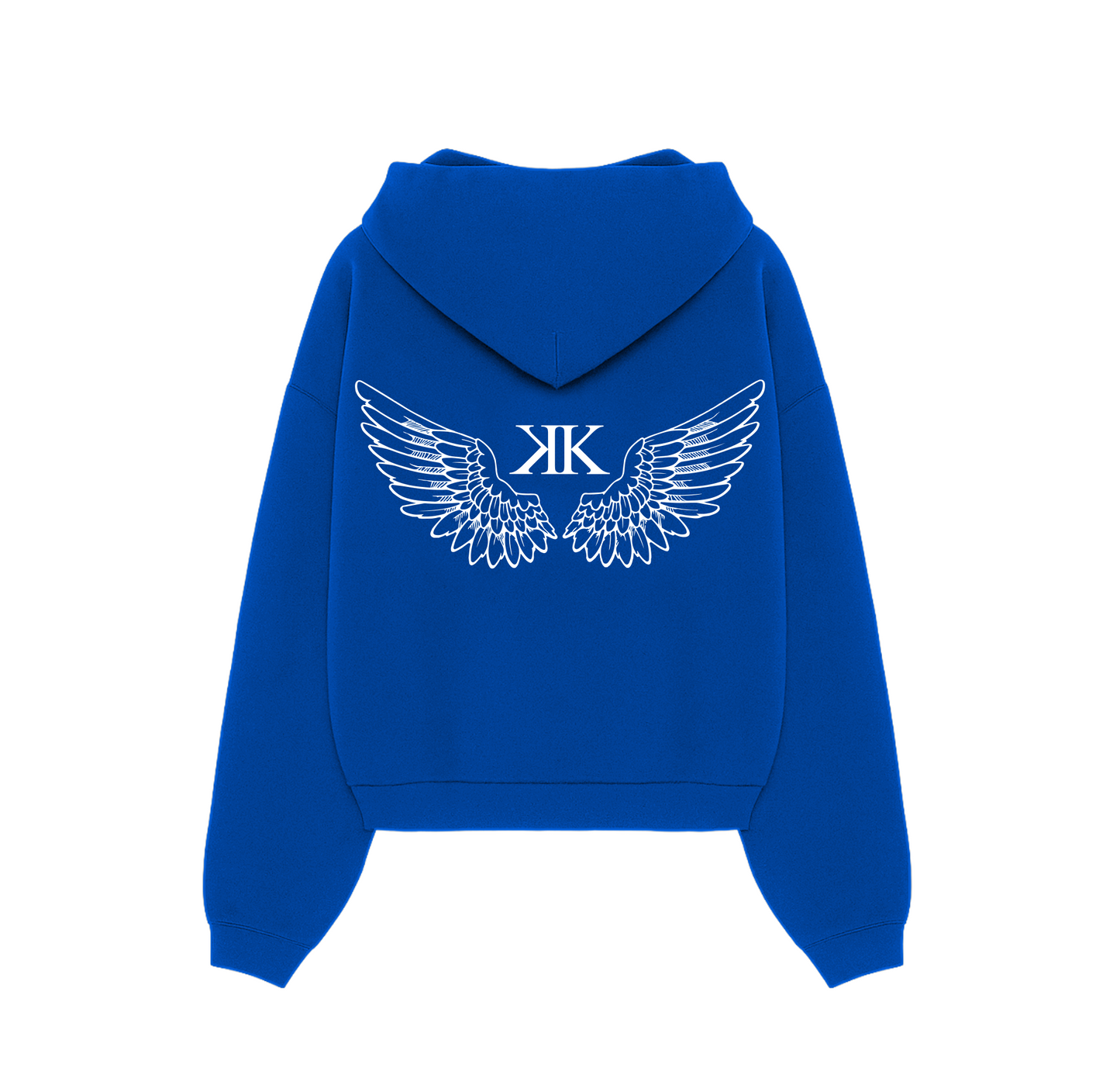 Wings Hoodie | Black Friday Deal