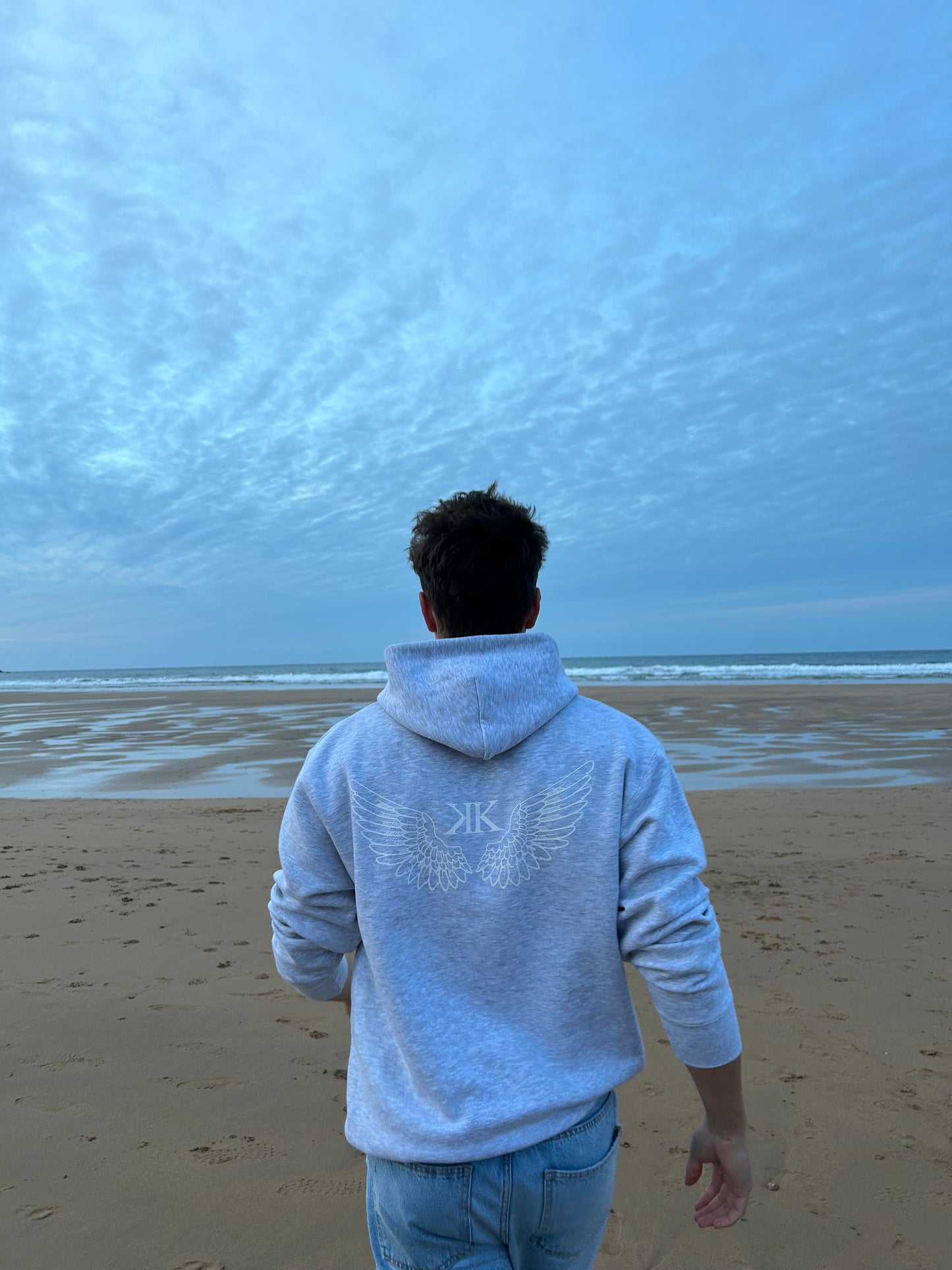 Wings Hoodie | Black Friday Deal