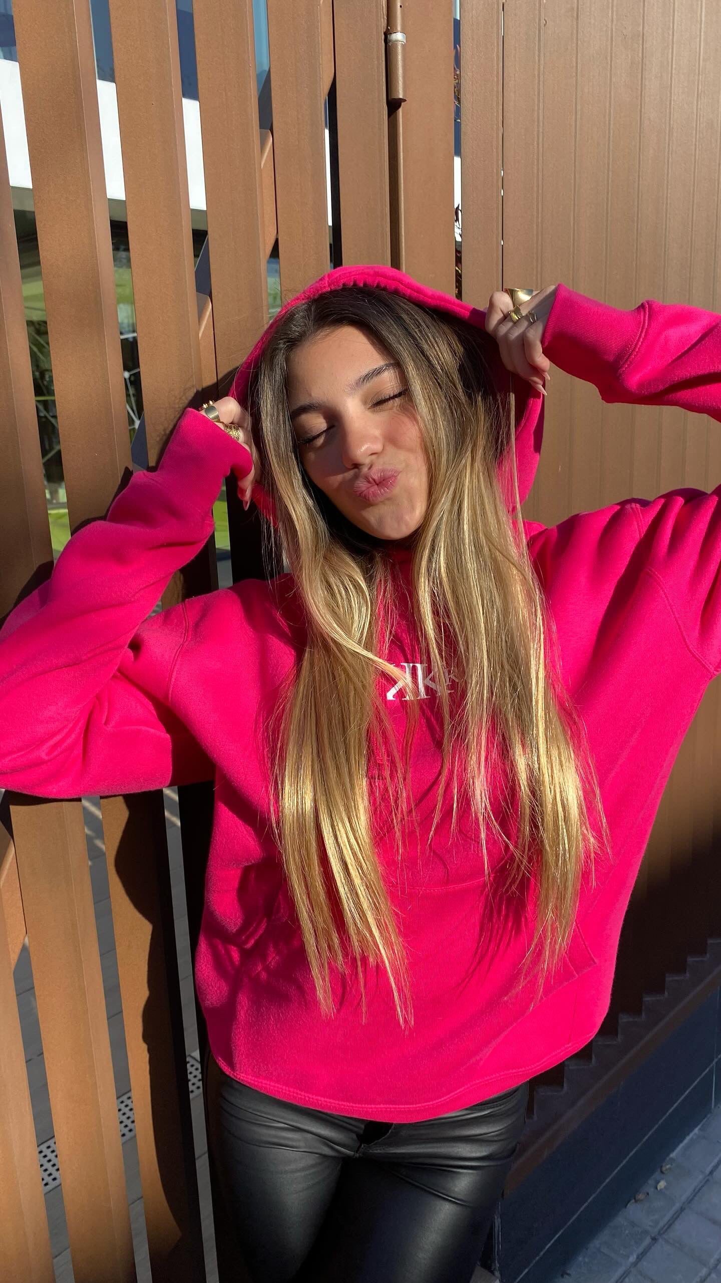 Wings Hoodie