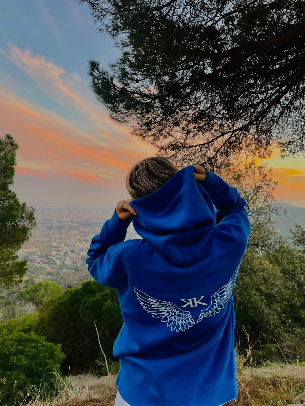 Wings Hoodie