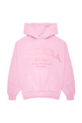 Distressed Hoodie Baby Pink