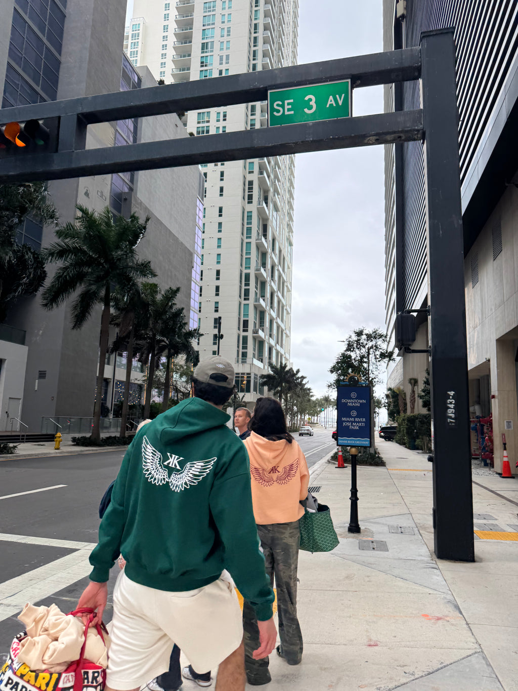 Wings Hoodie Forest Green