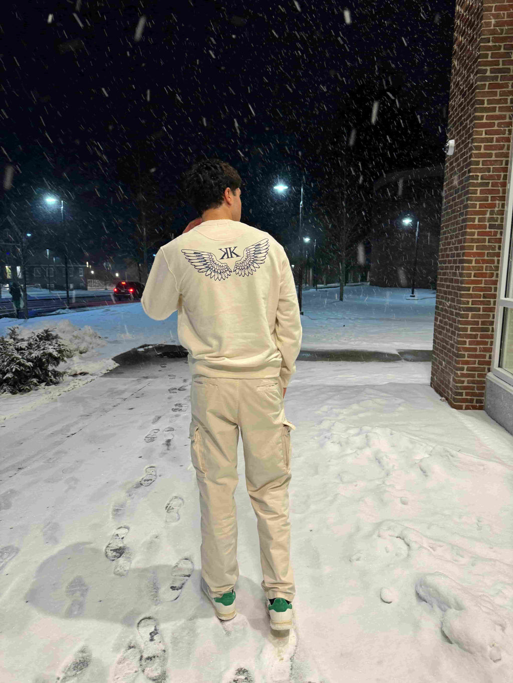 Wings Sweatshirt