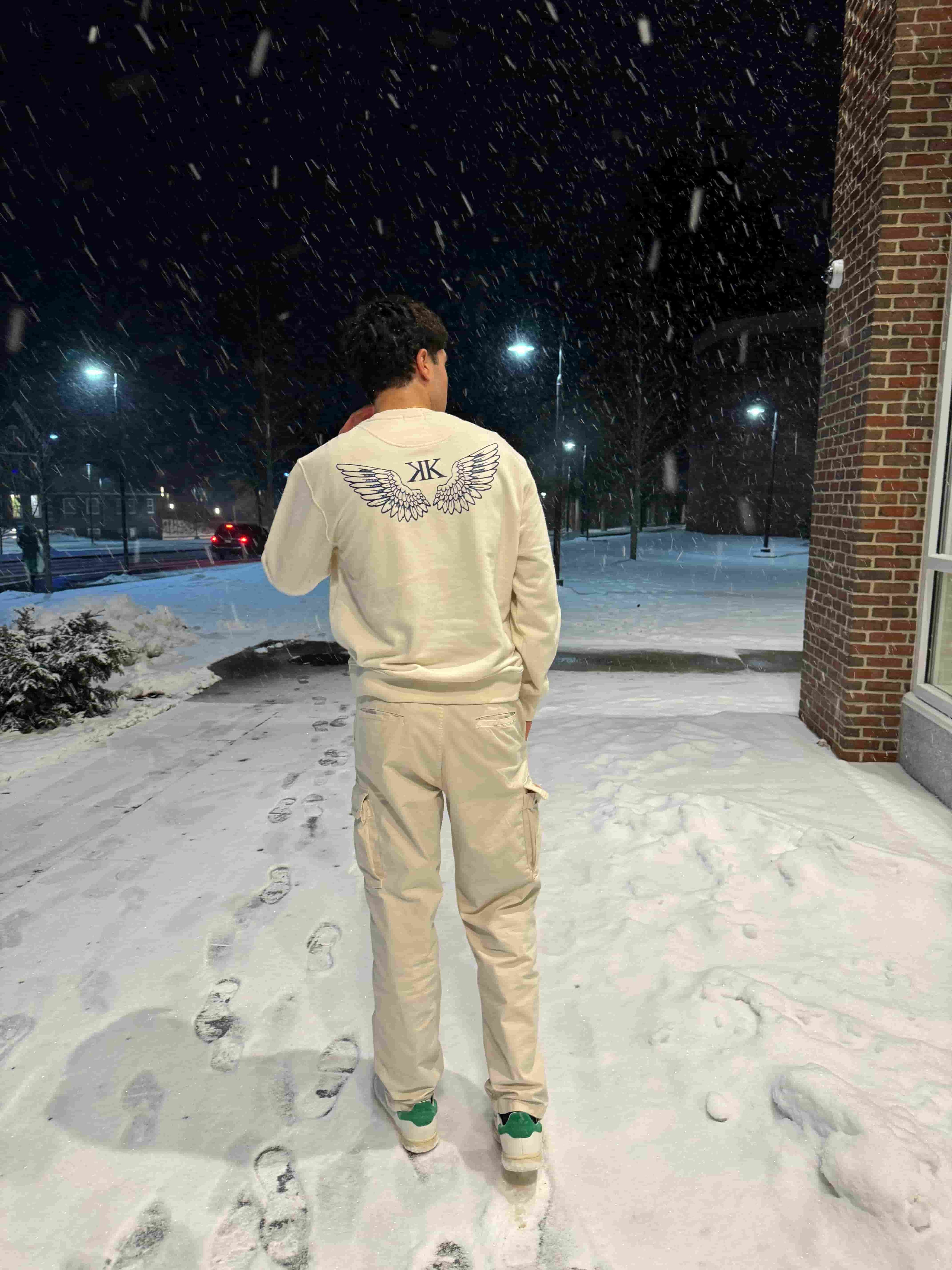 Wings Sweatshirt